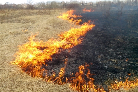 Помните! Палы травы и несоблюдение пожарной безопасности могут привести к пожарам!
