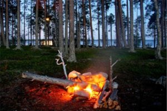 Правила пожарной безопасности в лесу