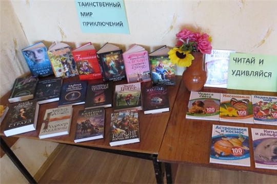 Выставка книжных новинок в Кирской библиотеке