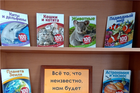 Поступление книжных новинок в библиотеки Алатырского района