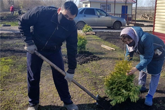 В Батыревском районе продолжаются работы по посадке деревьев в рамках международной акции «Сад памяти»