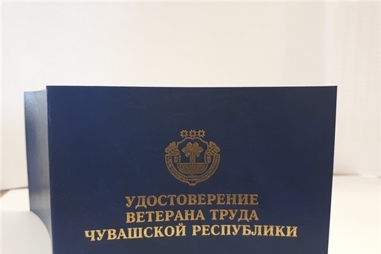 О мерах социальной поддержки ветеранам труда и ветеранам труда Чувашской Республики