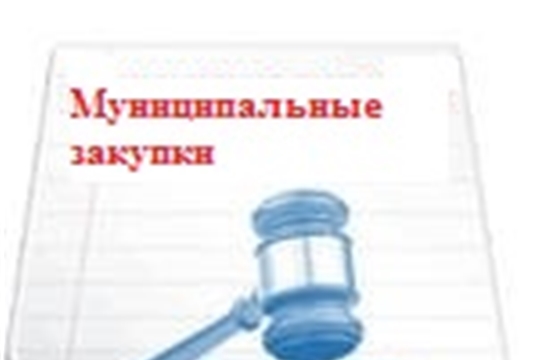 Итоги размещения муниципальных закупок в Чебоксарском районе за 1 полугодие 2020 года