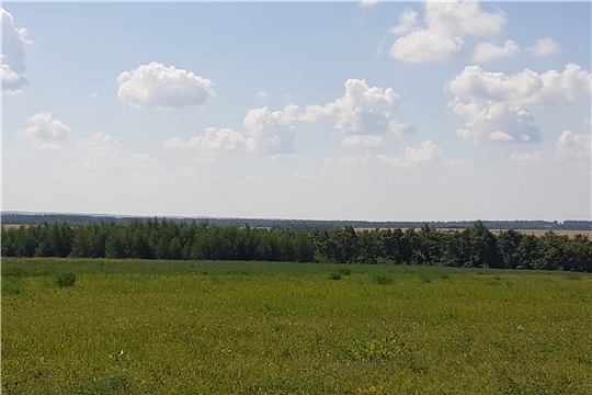 Проведена проверка целевого использования земель сельскохозяйственного назначения в Чебоксарском районе