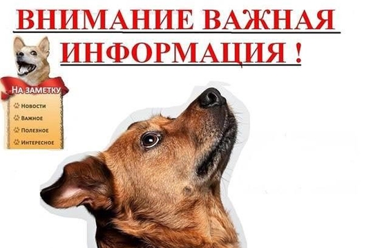 Вниманию владельцев домашних животных!