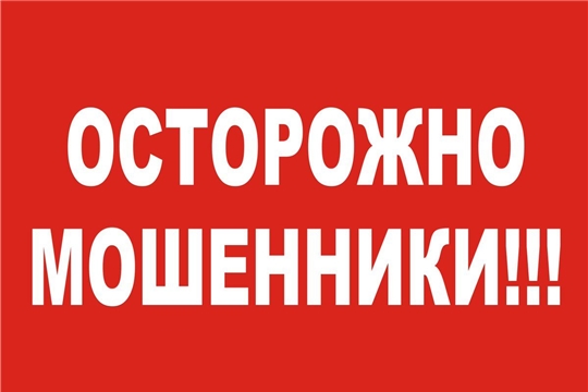 В Алатыре мошенники в соцсетях обманули 20-летнего местного жителя, желающего приобрести фары для своего авто