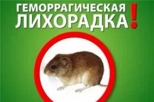 Осторожно! Геморрагическая лихорадка с почечным синдромом (ГЛПС)