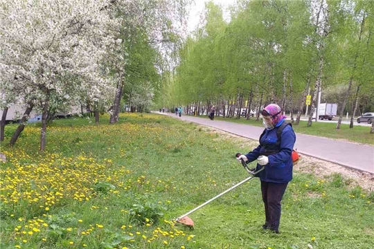 В Чебоксарах начался третий этап покоса травы