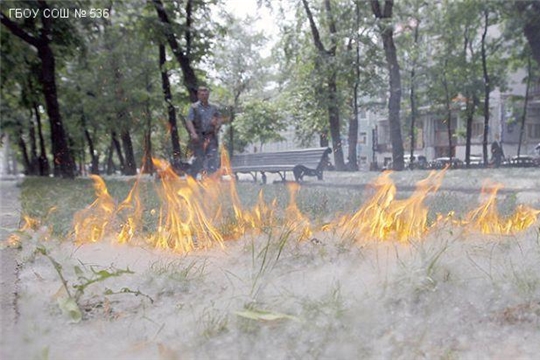 Осторожно, тополинный пух