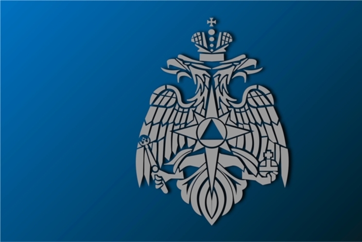 МЧС России подготовлены изменения в положение о федеральном государственном пожарном надзоре, снижающие излишнюю административную нагрузку