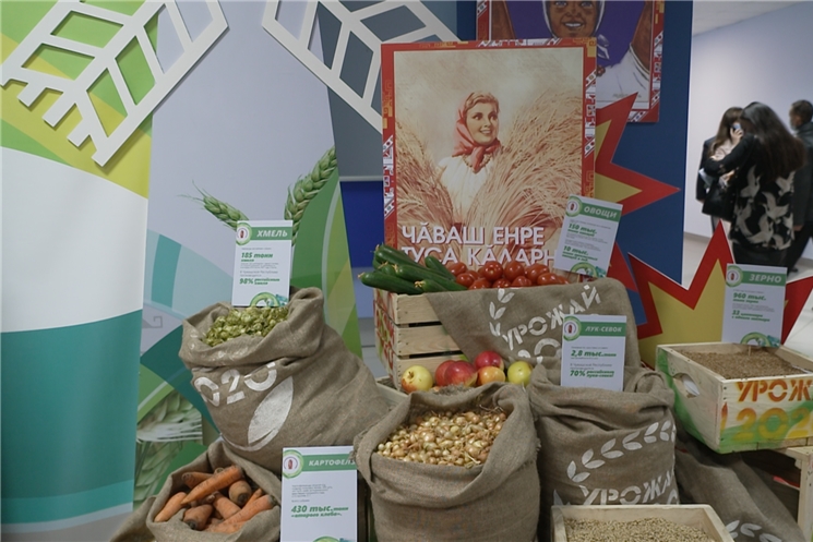 Глава Чувашии Олег Николаев поздравил с профессиональным праздником работников сельского хозяйства и перерабатывающей промышленности. 