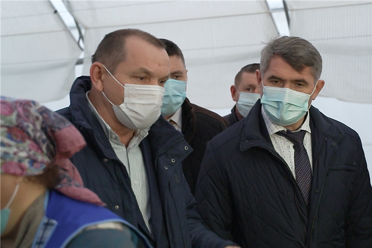 В Чувашии впервые собрали урожай мини-клубней картофеля, выращенного в пробирках.