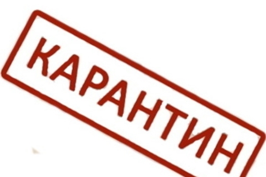 Карантин для всех приезжих стал обязательным