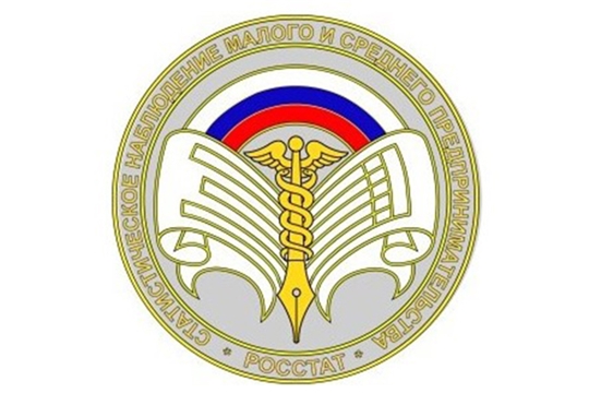 Росстат приглашает малый бизнес принять участие в экономической переписи