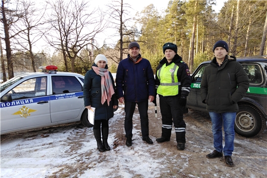 В Чувашской Республике подведены итоги работы по охране хвойных молодняков за период новогодних праздников
