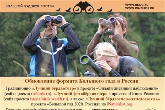 Конкурс «Большой год – 2020, Россия» – для тех, кто любит птиц