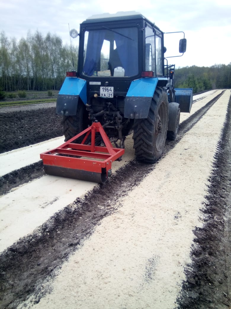 В питомнике Тобурдановского участкового лесничества проведен посев семян |  08.05.2020 | Чебоксары - БезФормата