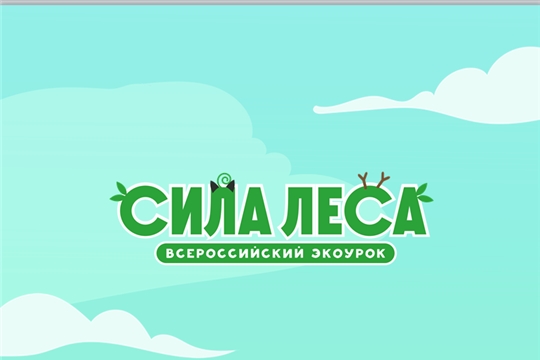 Оценить силу леса школьникам поможет новый урок проекта Экокласс.рф