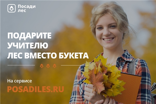 Движение ЭКА запустило акцию «Лес вместо букета»