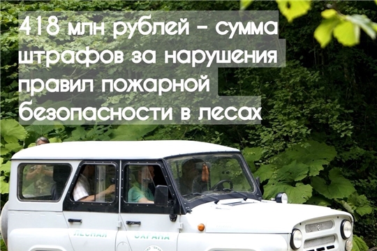 Сумма штрафов за нарушения правил пожарной безопасности в лесах составила 418 млн рублей