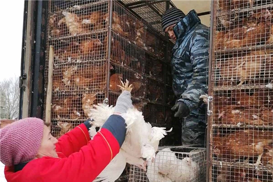 Птица по заявкам