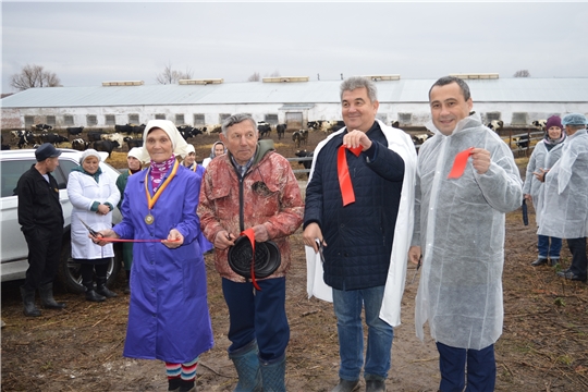 В агрофирме «Кубнинский» состоялось открытие телятника на 120 голов