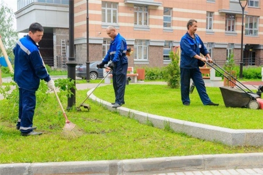С начала 2020 года в Чебоксарах на временные общественные работы трудоустроено 605 человек