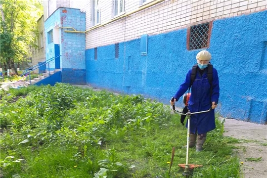 На чебоксарских улицах начался второй этап покоса травы