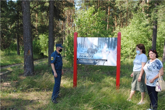 Оперативная группа провела выездное обследование лесных участков БУ «Трёхбалтаевское лесничество» Минприроды Чувашии