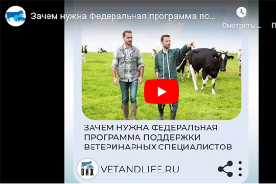 Зачем нужна федеральная программа поддержки ветспециалистов  