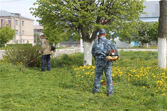 Покос травы в п. Опытный