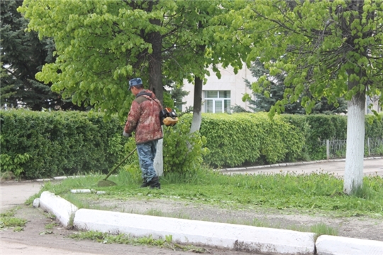 В Опытном сельском поселении продолжаются работы по покосу травы