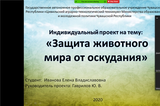 В Цивильском аграрно-технологическом техникуме состоялась защита индивидуальных проектов в дистанционном режиме