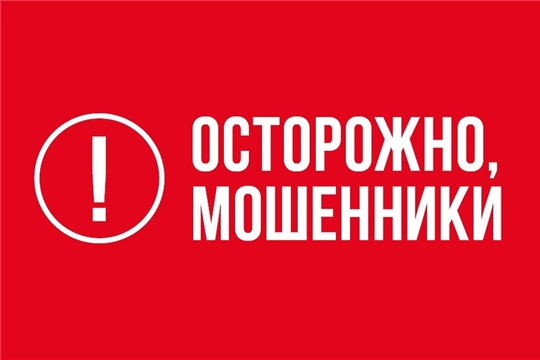 МО МВД России «Алатырский» просит быть бдительными в новогодние праздники – мошенники могут активизироваться