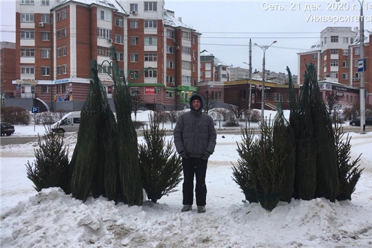 В Чебоксарах заработали елочные базары