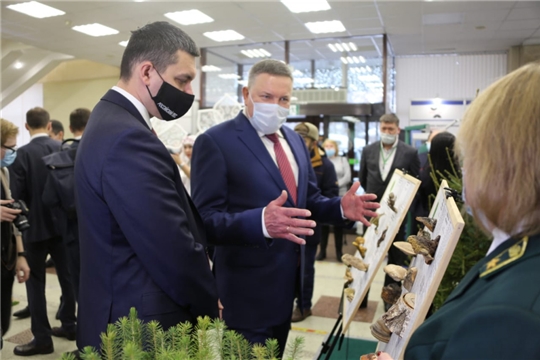 Задачи, стоящие перед лесной отраслью страны, обсудили на 25 Международном форуме «Российский лес»