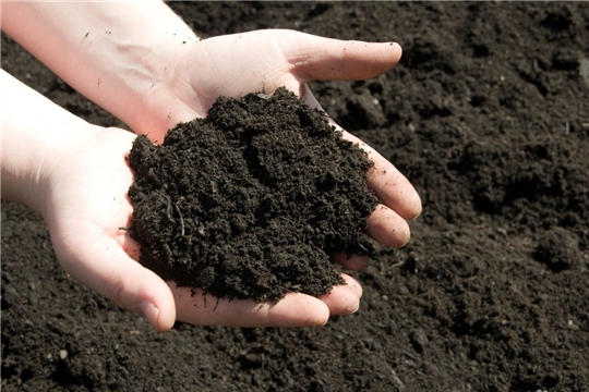 Сохранение, восстановление и повышение эффективности использования почв входят в число стратегических целей развития АПК страны