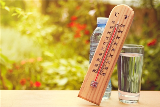 Как пережить аномальную жару