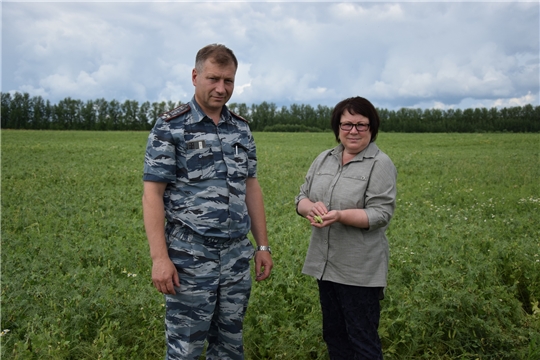 Глава администрации Алатырского района Нина Шпилевая посетила с рабочим визитом колонию-поселение № 8 в поселке Калинино Алатырского района