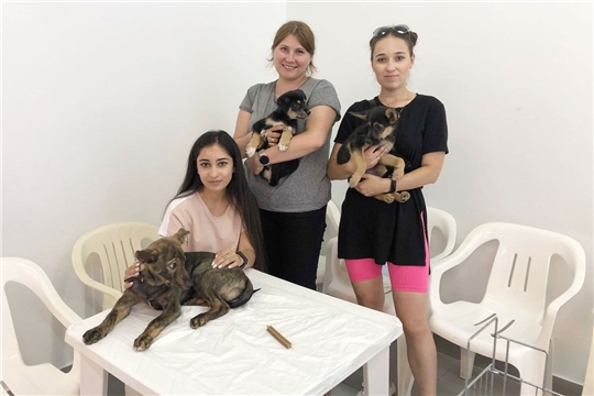 Представители чувашского Росреестра приняли участие в выставке бездомных животных