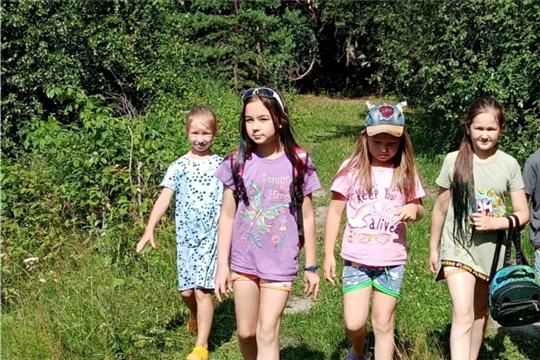 Экологическое путешествие «Зеленая аптека» для детей организовали  работники Новоайбесинского СДК