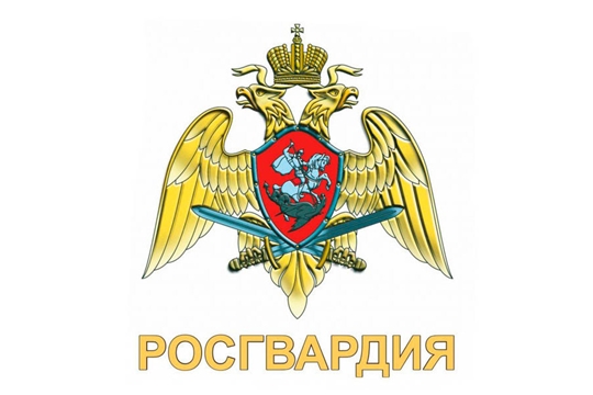 Усилена ответственность за нарушение законодательства в сфере оборота оружия
