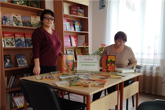 «День работников сельского хозяйства» в библиотеках Алатырского района