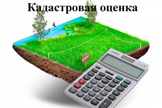 В 2022 году по всей России пройдет кадастровая оценка земельных участков