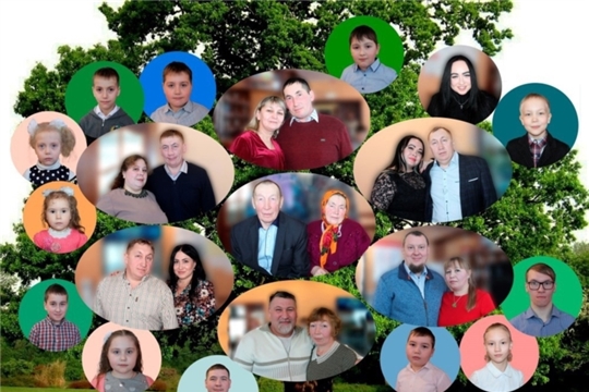 В учреждениях культуры Аликовского района прошли мероприятия посвященные Дню семьи, любви и верности