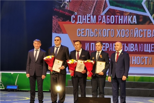 ТĂРĂШСА, ВĂЙ ХУРСА ĔÇЛЕСЕН ŸСĔМ ПУЛАТЕХ