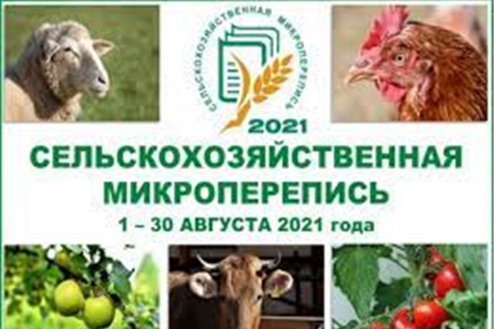 В Батыревском районе началась сельскохозяйственная микроперепись