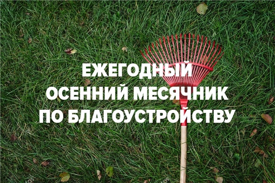 С 20 сентября по 30 октября на территории района объявляется месячник по санитарно-экологической очистке и благоустройству территорий