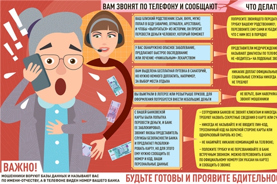 «Ваш внук попал в ДТП»: за сутки четыре пенсионерки стали жертвами аферистов