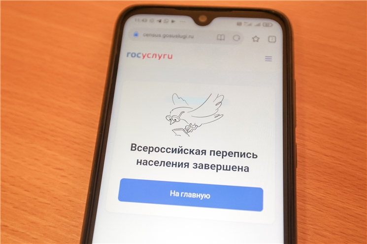 Чӑваш Ен "Патшалăх пулăшăвĕ" порталта ҫырав хастарлӑхӗ енӗпе ҫӗршыври  малта пыракан 11 регион йышне кӗнĕ